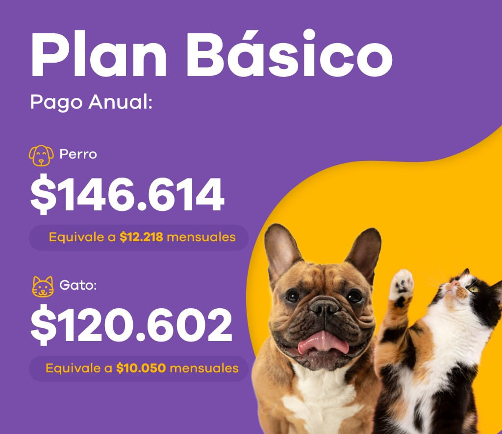 Plan Básico