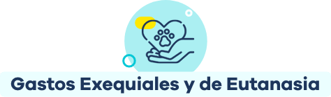 Gastos exequiales