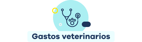 Gastos veterinarios